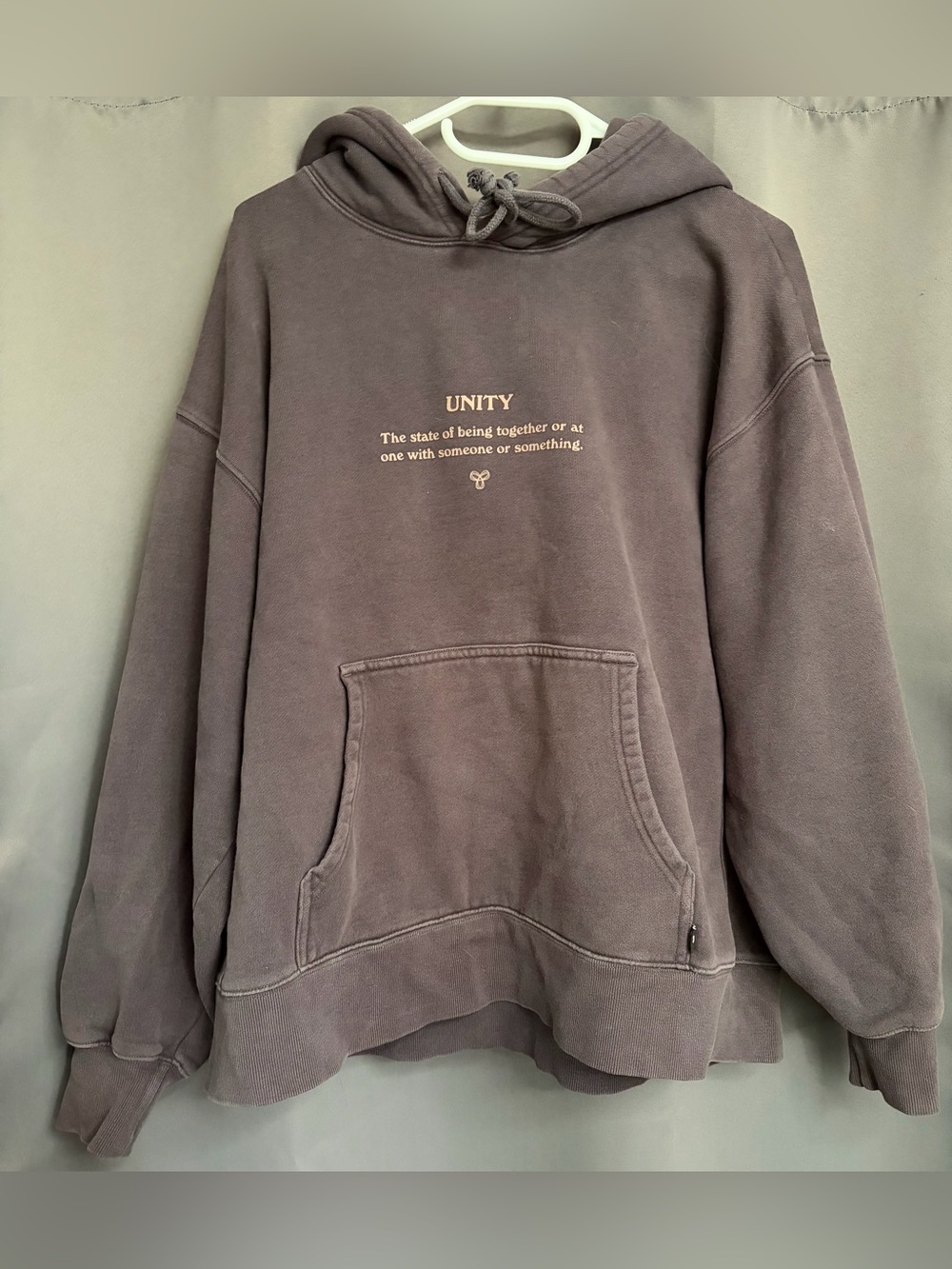 CozyAF Boyfriend Cotton Unity Hoodie | TNA Aritzia | Dusty mauve/taupe | Size 2